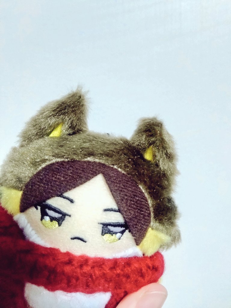xsubbearx's tweet photo. 🦊「なに見てるの？目線合ってないよ？耳見てる？恥ずかしいからやめてよ💦」
うちのちみすなさんの右耳は寝癖がポンッて飛び出てて直らないのかわいいね
#うちのちみけも https://t.co/kj7pOam2EZ