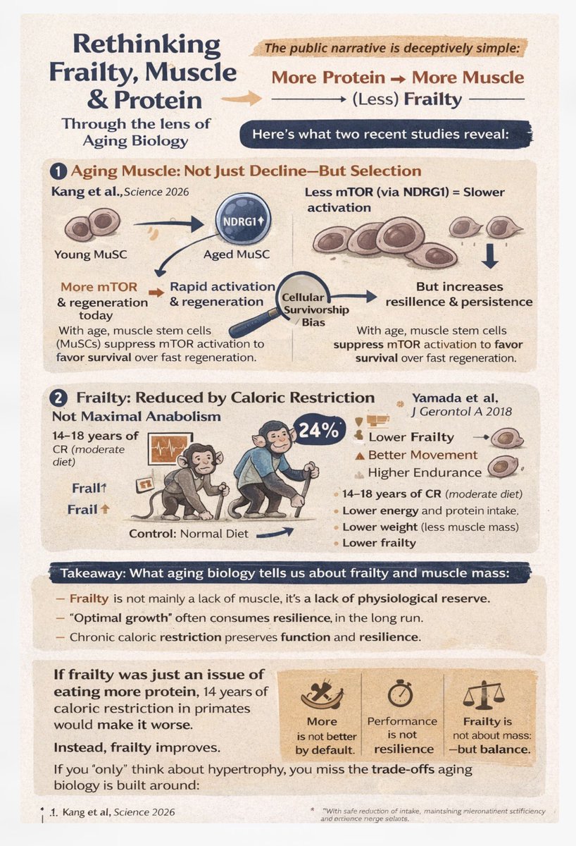 Luigi Fontana, MD, PhD, FRACP tweet media