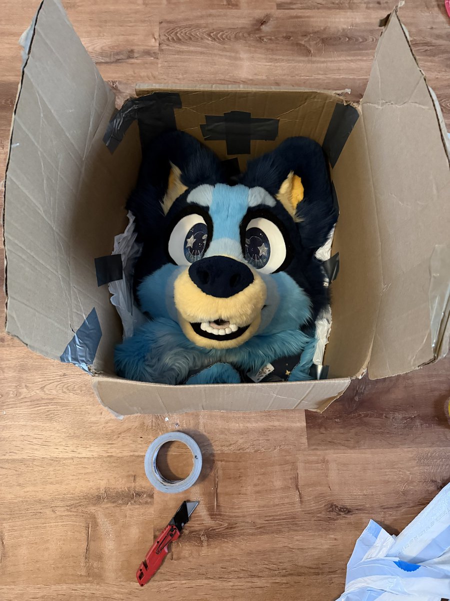Bluey Heeler tweet media
