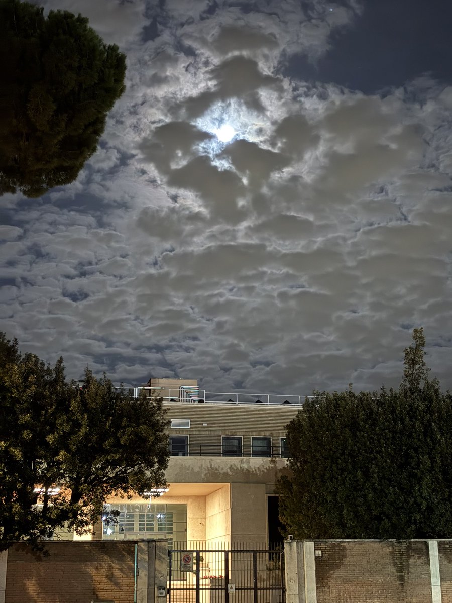 aysinkonak's tweet photo. Roma’da dolunay ve aydınlık bir gece 🌕 https://t.co/8yo1pPGDp2