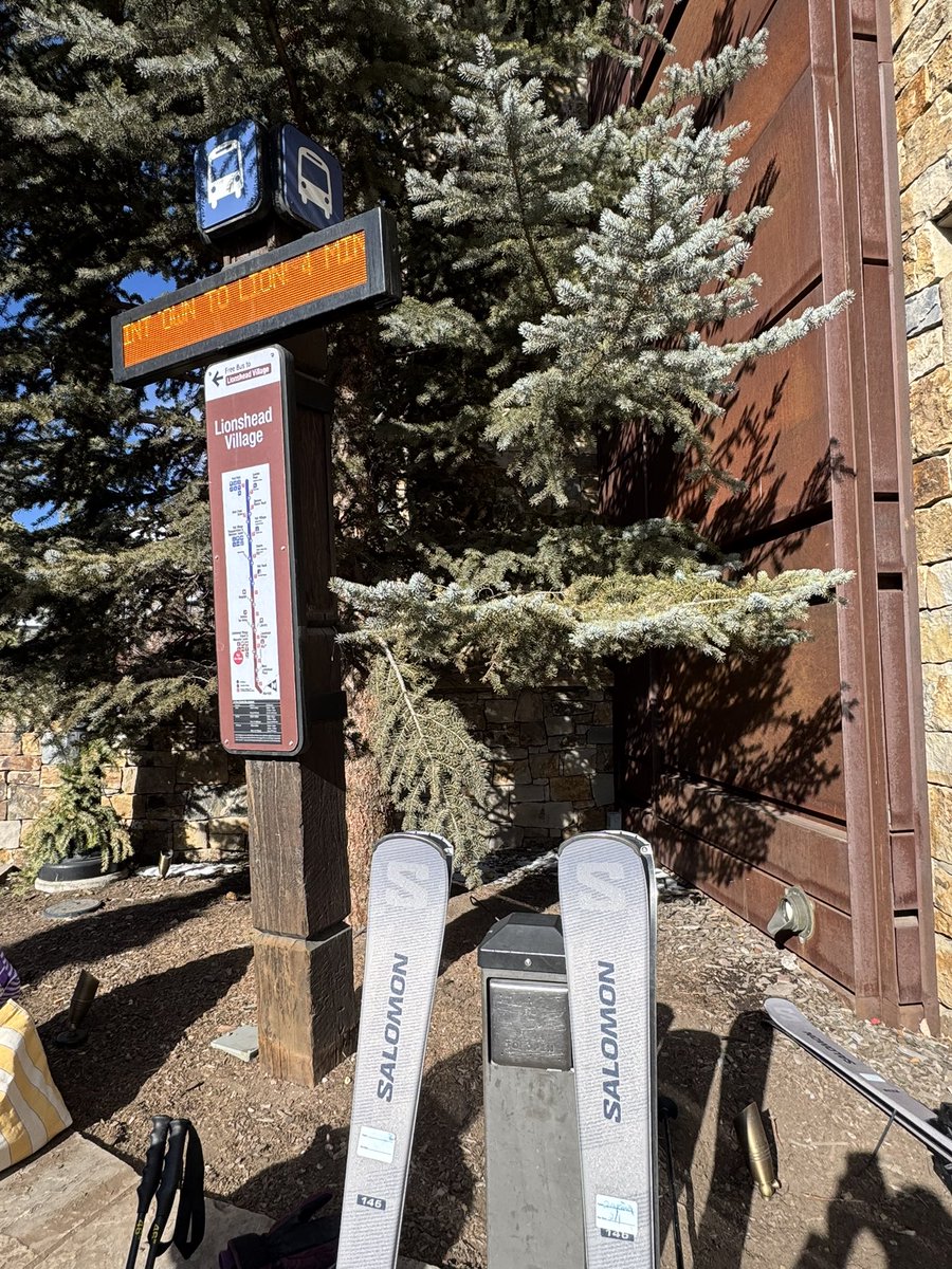 Bazinga🦋 tweet media