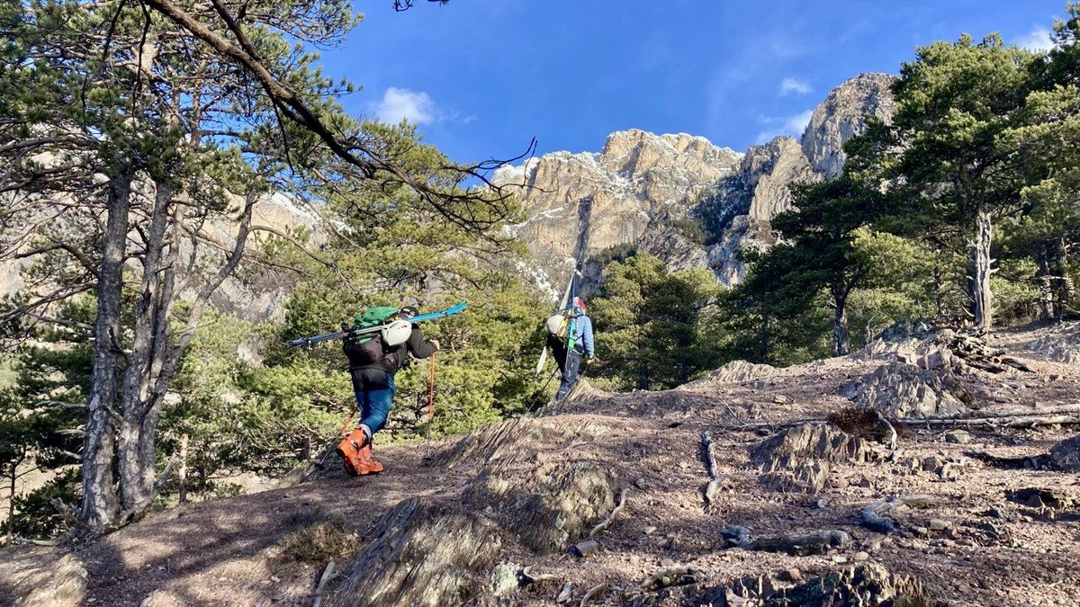 Jaume Jubert Ferré tweet media