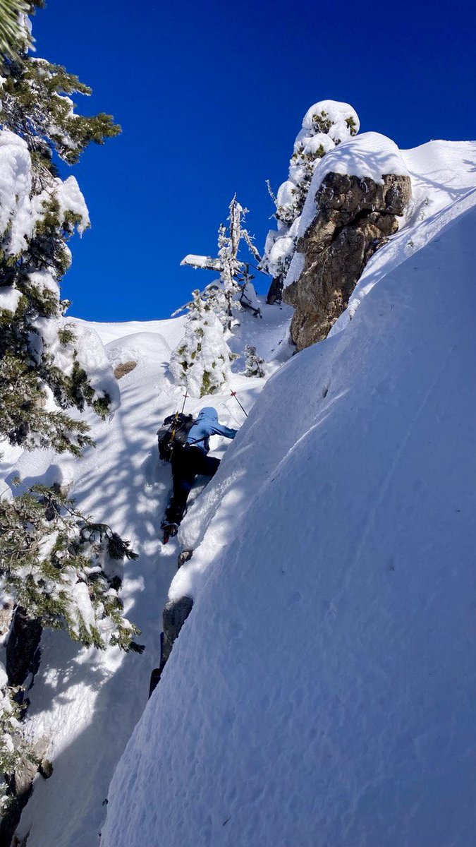 Jaume Jubert Ferré tweet media