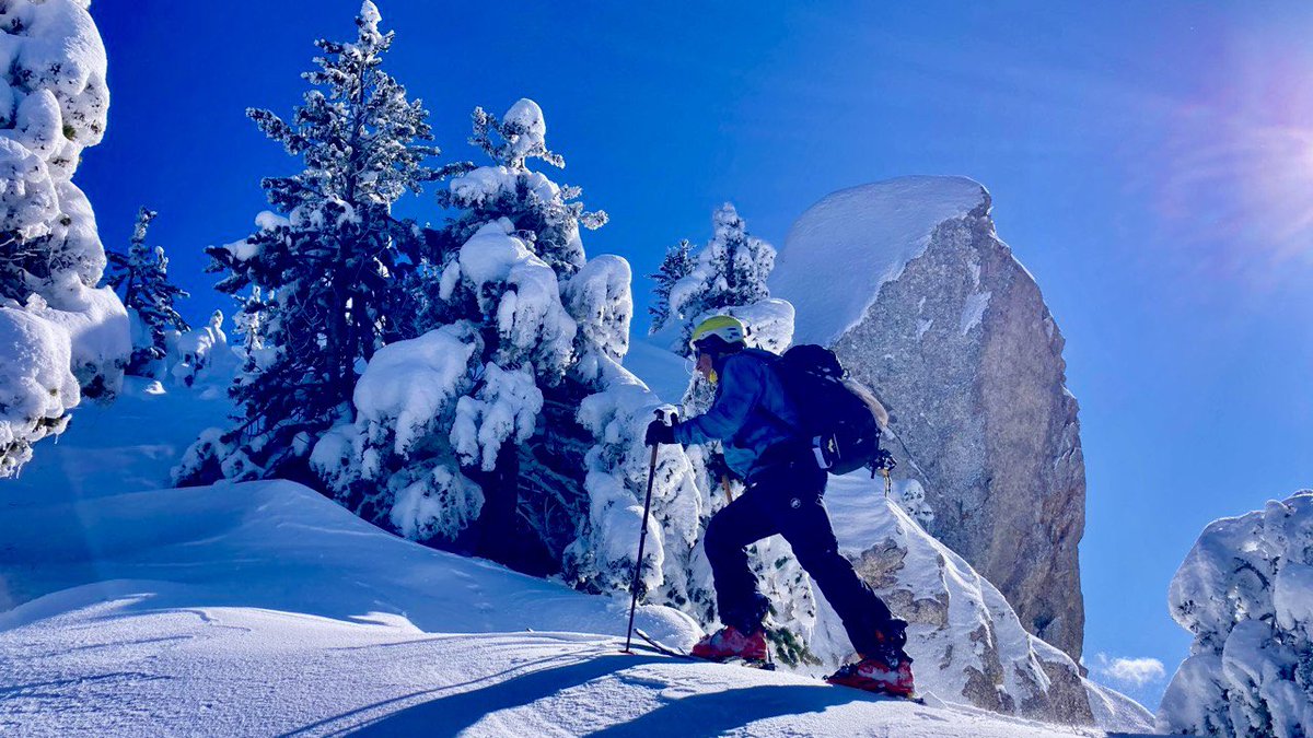 Jaume Jubert Ferré tweet media