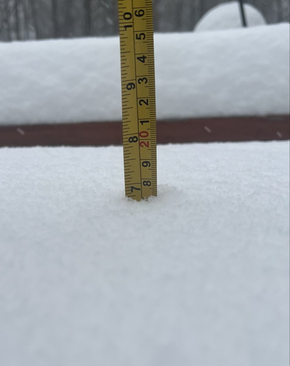 Cameron O’Neal tweet media