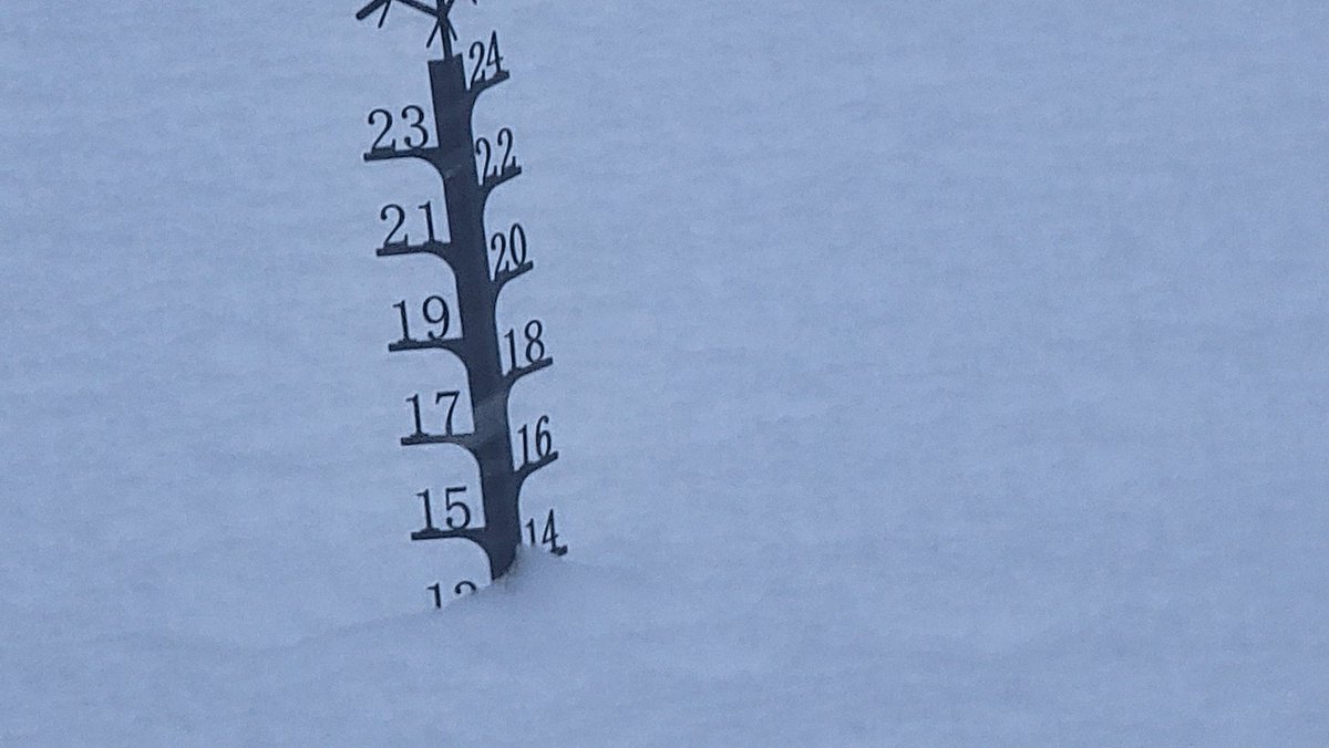 c150flyer's tweet photo. Over 13" 7 mi s of Lexington, NC.
There was just under an inch of sleet from last week so subtracted accordingly. 
Temp: 17.1°
Also, it's still snowing like the dickens .
#ncwx #scwx @ryanhallyall @TimBuckleyWX @DylanHudlerWXII @GMengel @MatthewCappucci @MaxVelocityWX @wxbrad https://t.co/nLUzzY1rWL