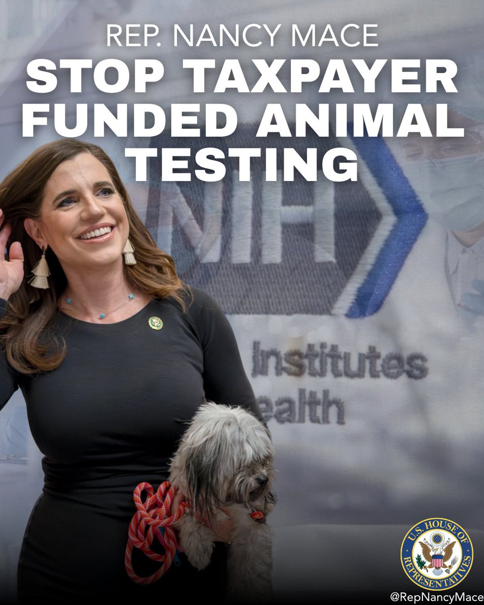 Rep. Nancy Mace tweet media