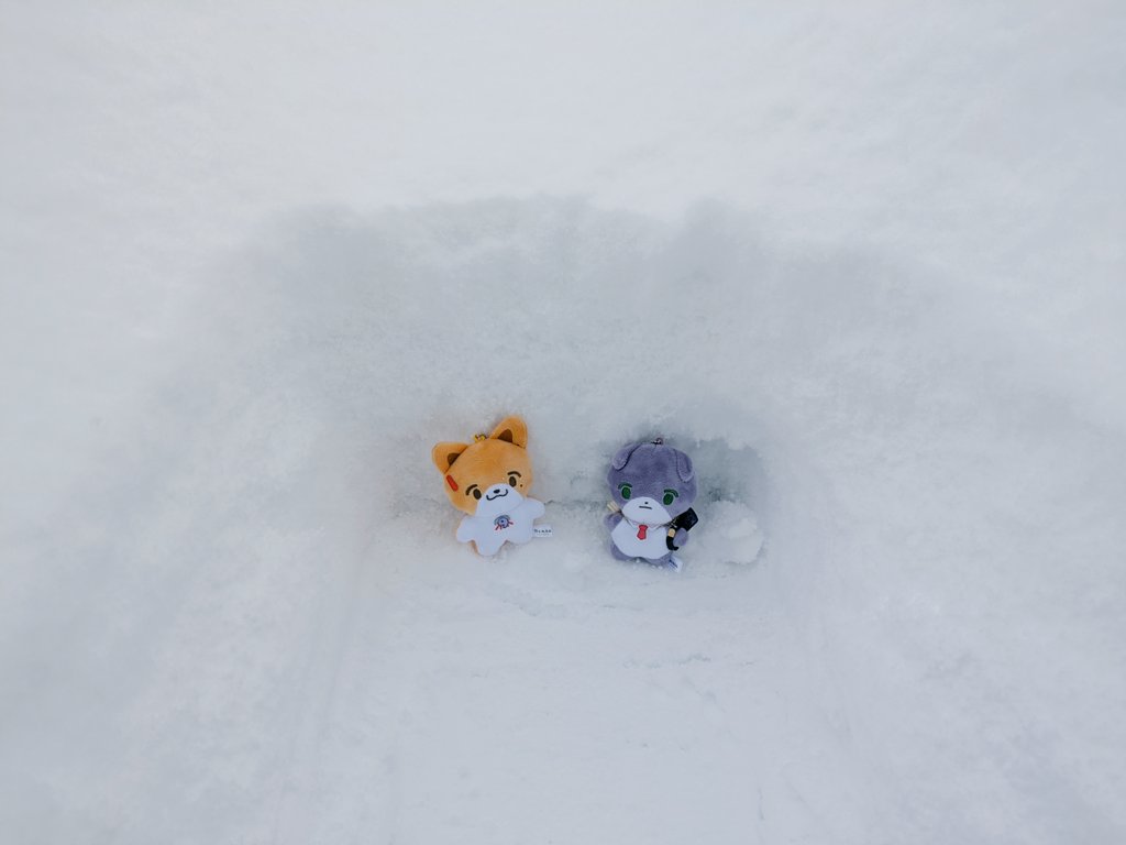 今日から2月ですね❄