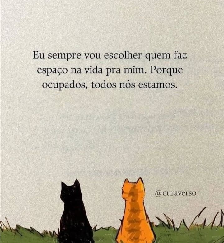 teu caos (@sobreteucaos) on Twitter photo 