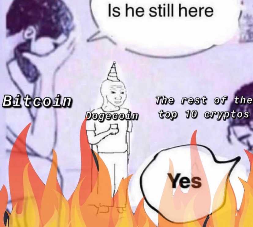 Sir Doge of the Coin ⚔️ tweet media