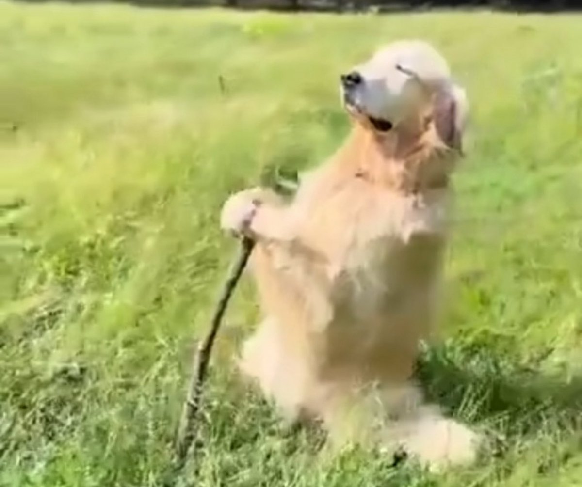 Jaboocarr's tweet image. I refuse to let Kentucky Basketball hurt me today (theyve ruined half of my weekends in 2026)