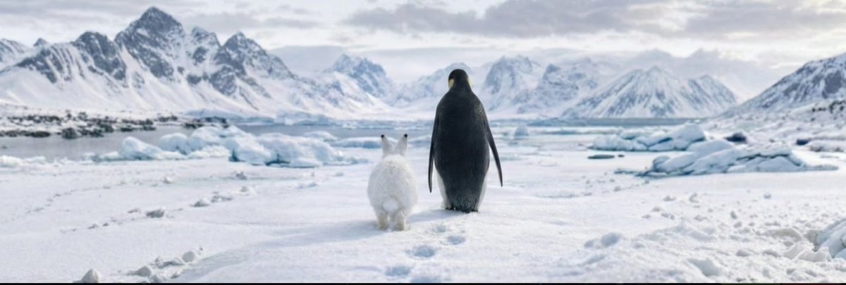 ✅ $LEPUS is doing that early Solana meme thing again… 👀

$1.2M MC
$2.2M volume in 24h
Thousands of txs
Liquidity looks way too real for this stage 🐰💥

Remember when $PENGUIN was “just another meme” at $1M?
Yeah… same vibes.

I already aped #LEPUS.
If this runs like the last