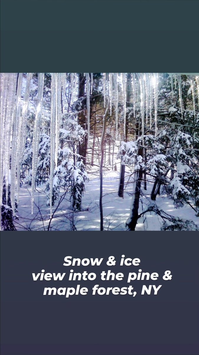 AnnieHecht's tweet photo. Reminiscing! -Snow &amp; ice in the Hudson Valley and Long Island. Stay warm, cozy &amp; safe friends and family!  Brrr in Florida too! Hope to see you again soon! Xo🩷 https://t.co/v3KqjZT5pt