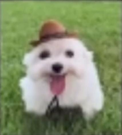 Clotser64_ 🏵️ tweet media