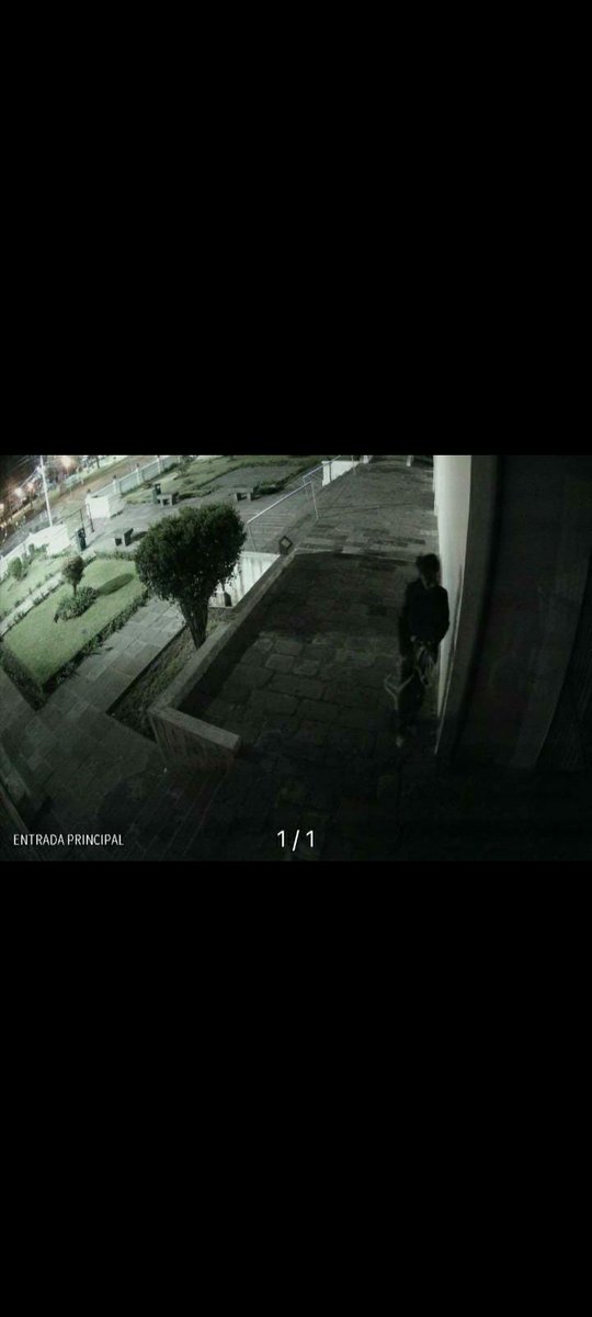 alexcastroec's tweet photo. Sres @PatrimonioQuito hoy en la madrugada intentaron robar la campana de la Iglesia de El Belén (primera iglesia de Quito) por favor su ayuda urgente para brindar seguridad y protección a nuestro patrimonio. @pabelml @SeguridadeQuito @PoliciaEcuador https://t.co/M75PpjCbfD