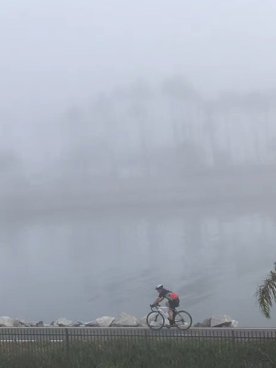 L0uis3B's tweet photo. #FogFriday 🤍🩶 https://t.co/bhcaBlMA1q