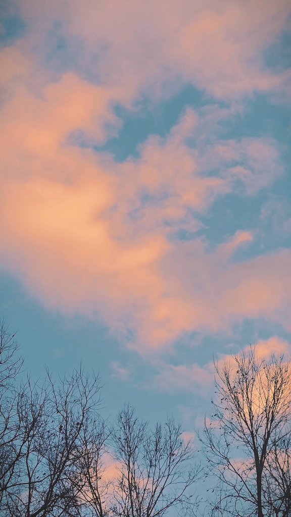 Solimar_A0242's tweet photo. Have a nice day everyone 🍃🌅 https://t.co/X7i0N8S0ZD
