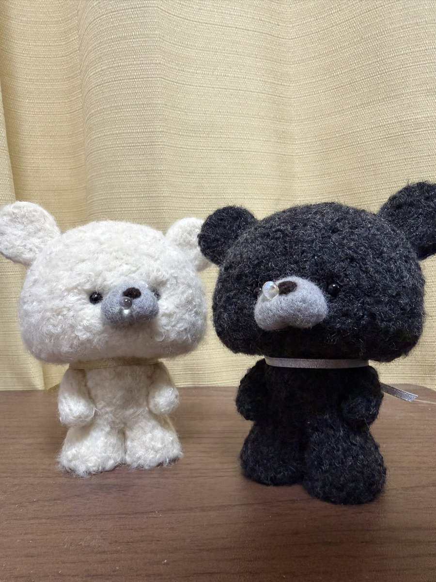 よろしくお願いいたします🙇‍♀️