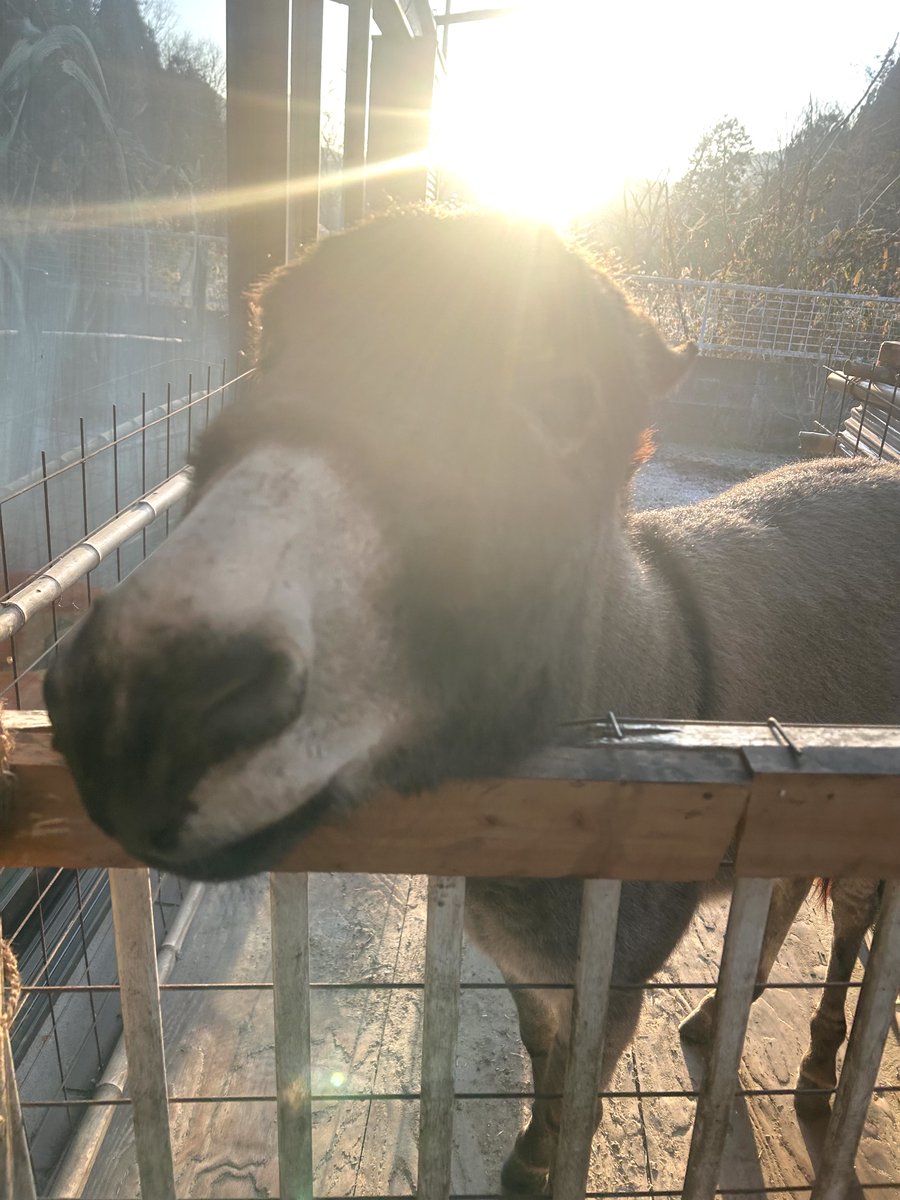 ツルキミ (@TJo95V15kl35013) / Posts / X