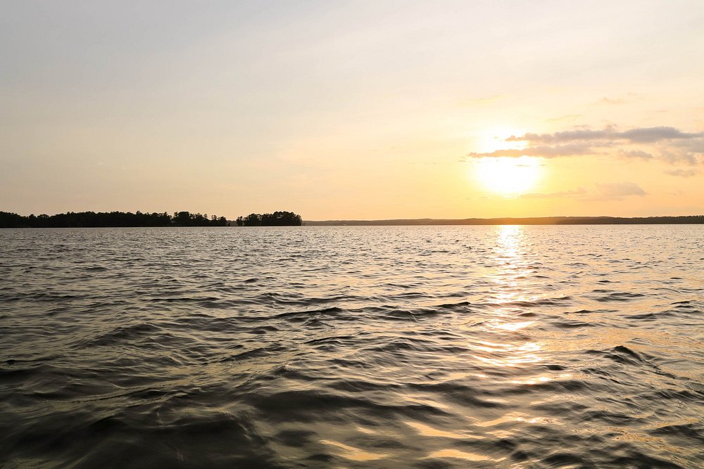 angelavanhoute5's tweet image. Sunsets on Lake Martin ❤️🎴

📷 Rebecca M via Tripadvisor

#lakesunsets #lakesunset #sunsetviews #lakeviews #lakelife #lakeliving #lovethelake #livelovelake #lakedays #sunsetviews #lakemartin #lakemartinal #lakemartinsunsets #lakemartinviews