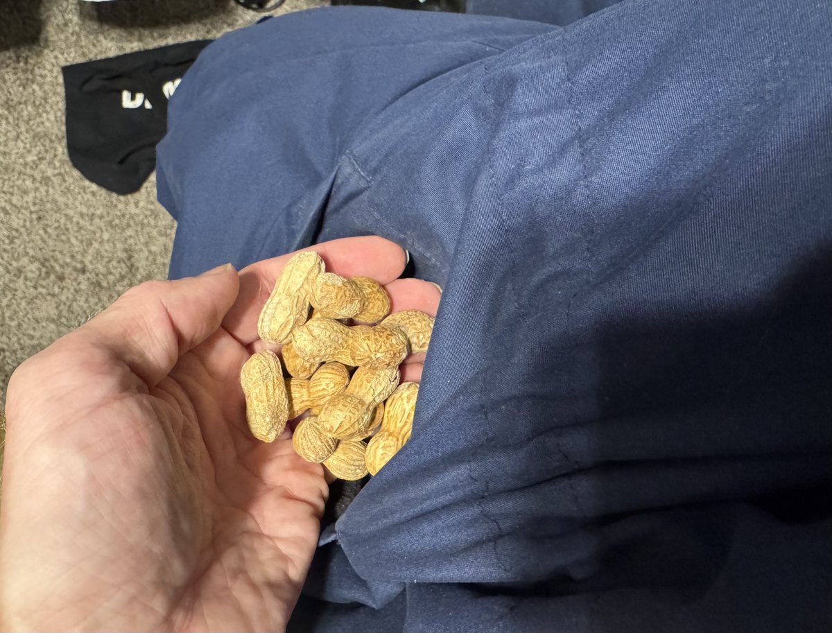 I just went to put on my heaviest winter coat for the first time in a decade, only to find the pockets full of peanuts from <a href="/lucky_joes/">Lucky Joe's</a> in <a href="/DowntownFoCo/">Downtown Fort Collins</a>!  Back in the day, Lucky Joe's was the place I would go to work on my  novel, the perfect mix of calm and chaos, when I was