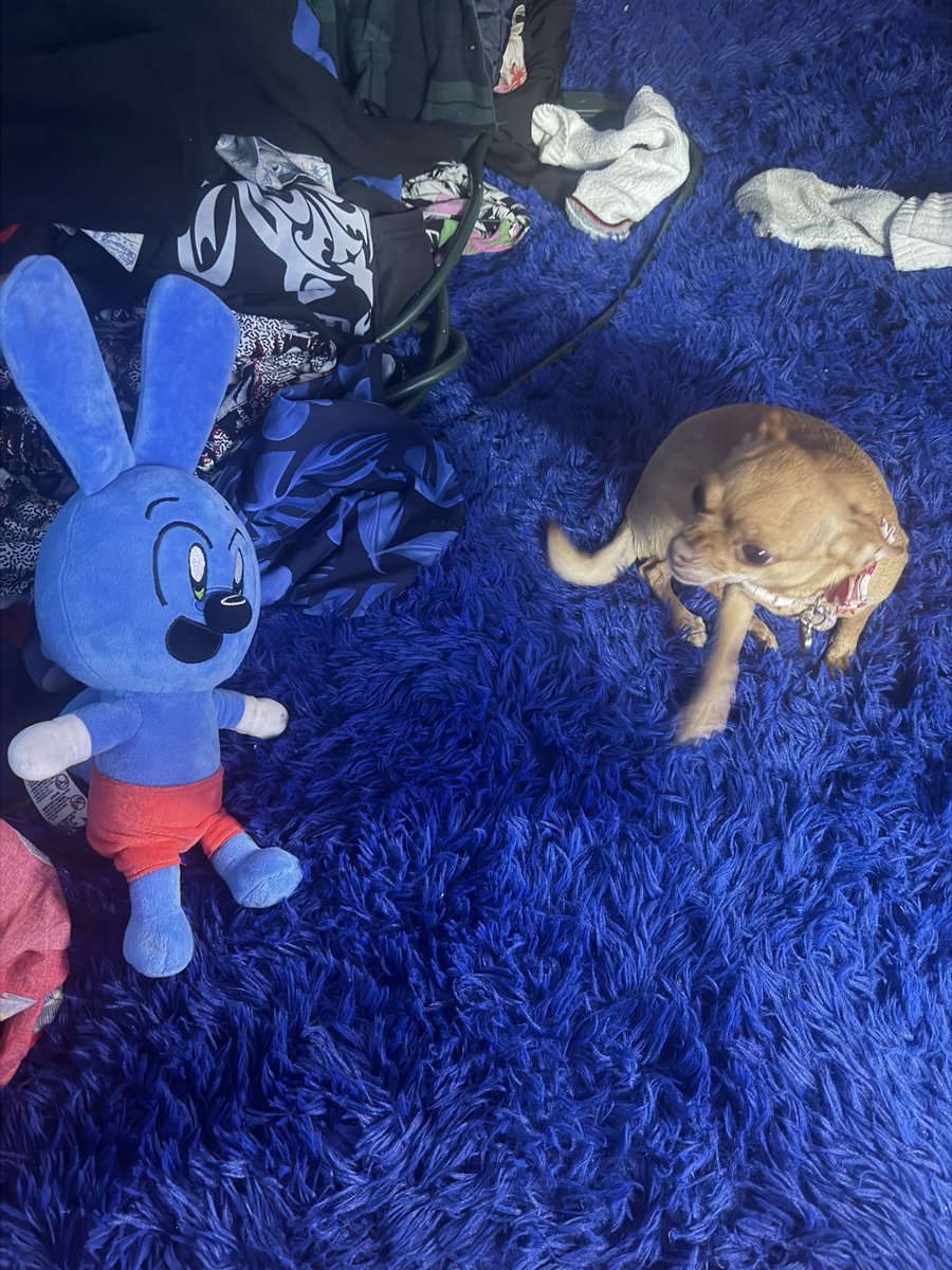 she has returned for a few days but the way she’s looking at riggy is scaring me ngl