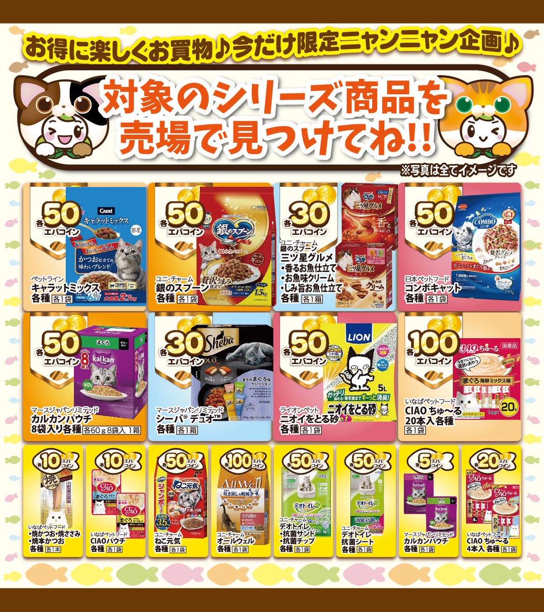 おはエバ☀️.° 本日、2月22日は猫の日にゃฅ( ˙꒳​˙ ฅ) 店舗では