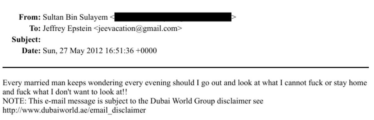 Sultan Ahmed bin Sulayem, that Epstein-linked DP World creep 🇦🇪, texted the pedo kingpin creepy filth sharing witch-rape sperm articles, joking “praise Allah” over lewd crap, admitting he’s “as crazy as” Epstein after Little St. James stays. The UAE is run by mafia scum that