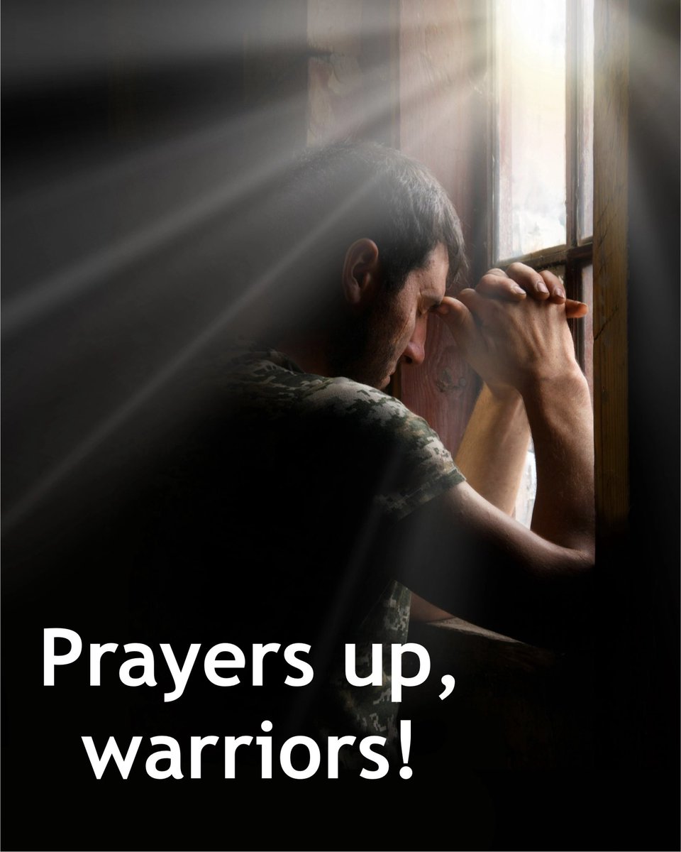 Lightraiders tweet media