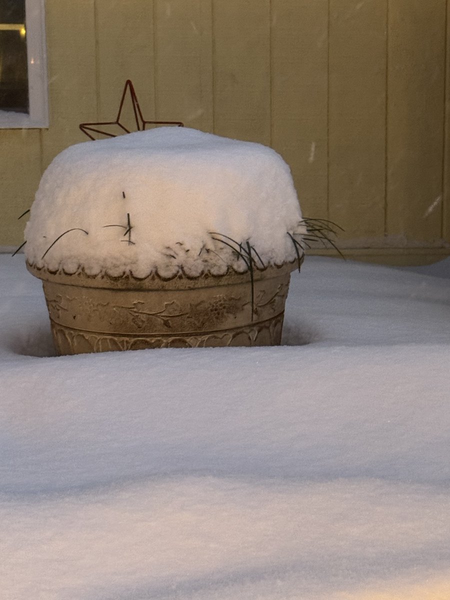 Todd McLean tweet media