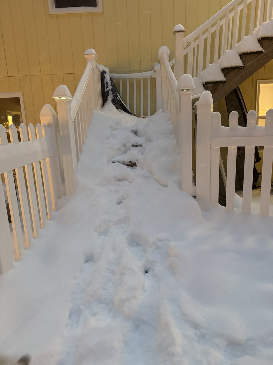 Todd McLean tweet media