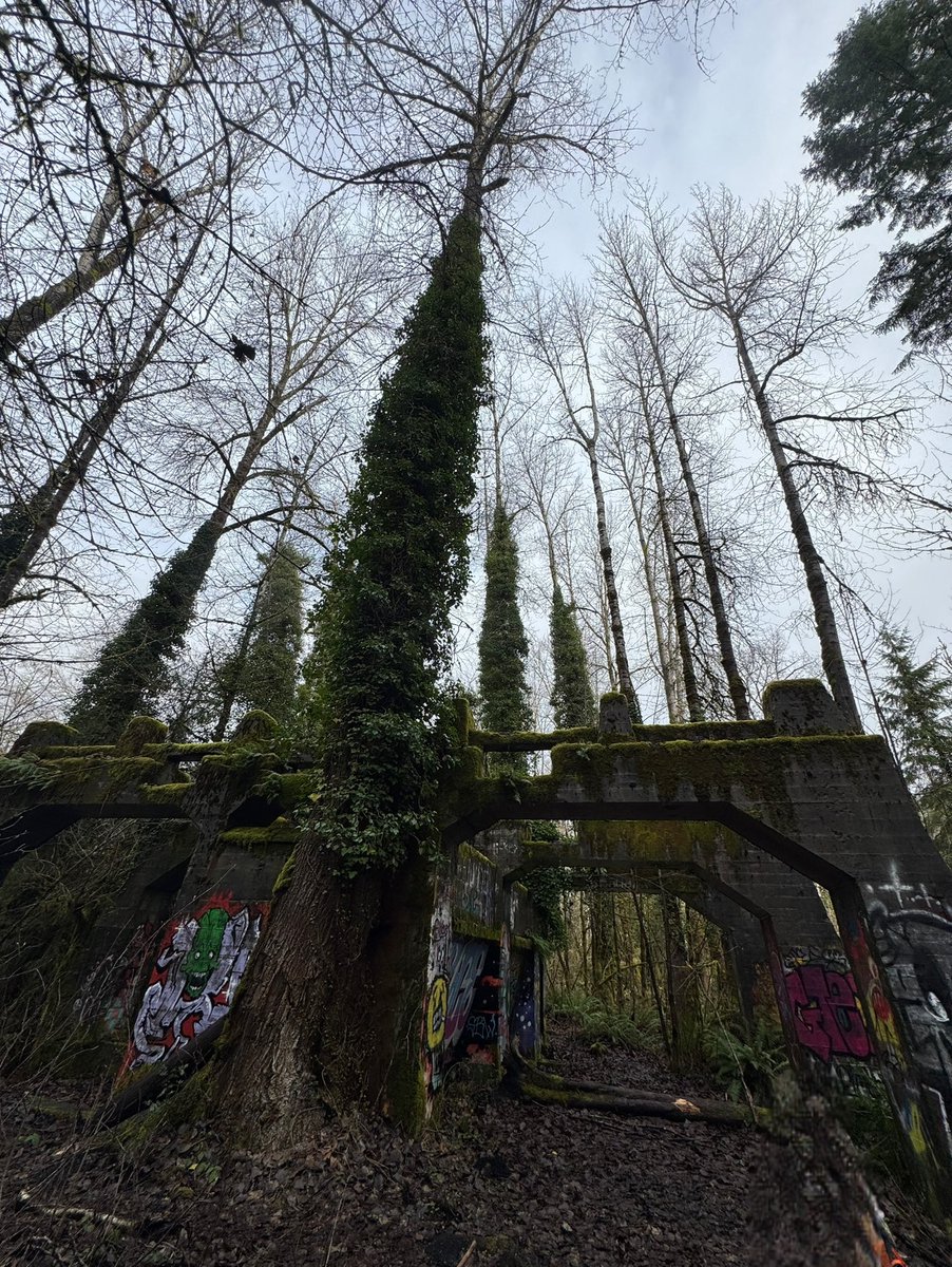 pnwguerrilla's tweet photo. I know the world is on fire and all. 

But i do believe it’s still extremely important to get out of cellphone signal and go enjoy some peace. 

Knowing everything going on in the world is extremely taxing for the soul. 

Don’t forget to stop and smell the roses. 

WAGMI
ATS https://t.co/AZKfqTClol