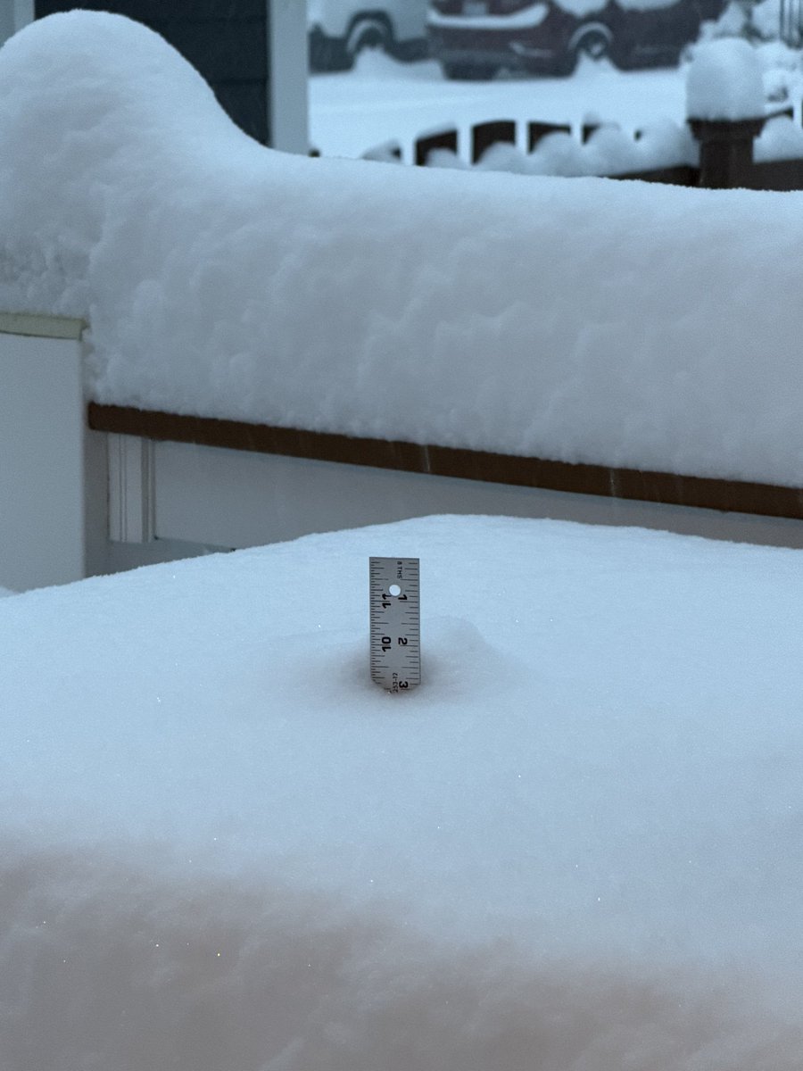 Ryan Kingsbury tweet media