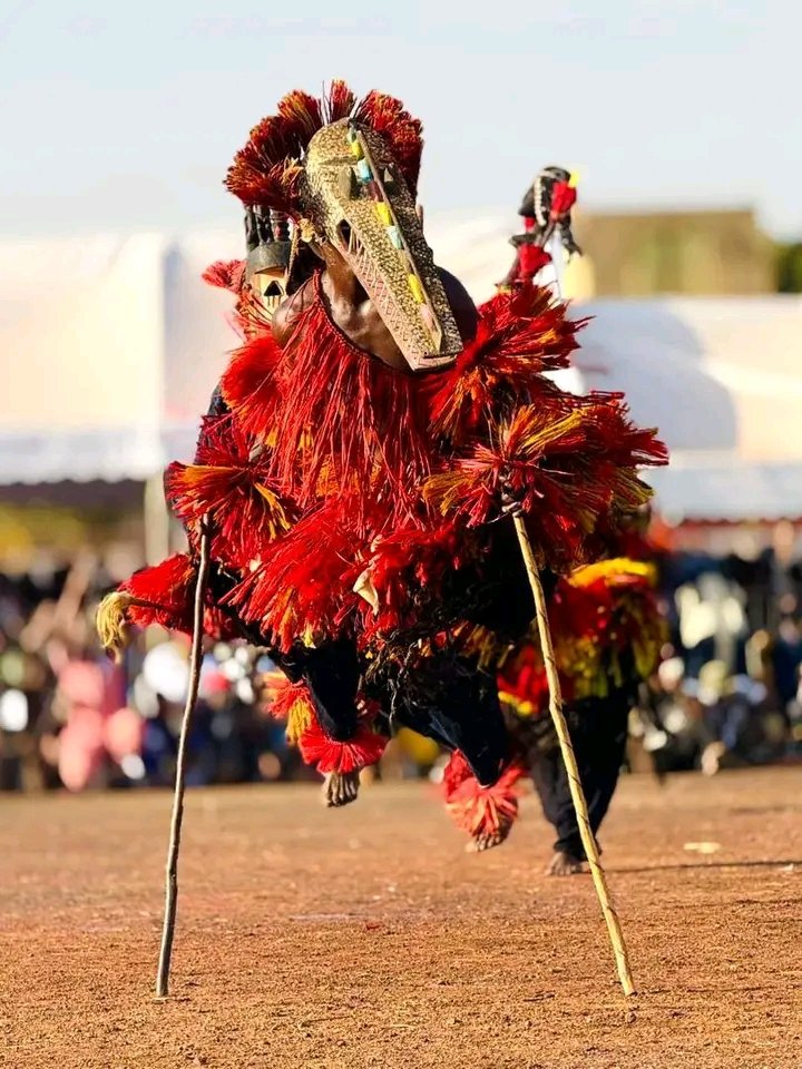 Tidiane Seriba Diarra🇲🇱 tweet media
