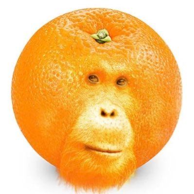 AngeloLindo tweet media