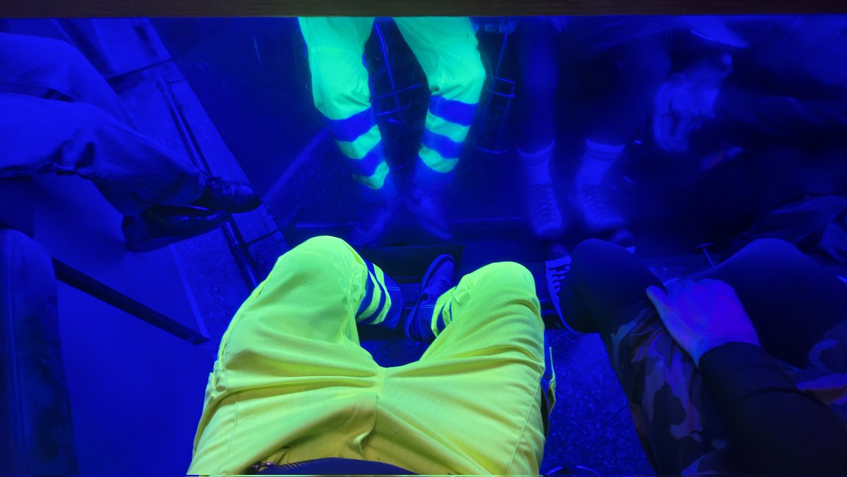 snxffckabl tweet media