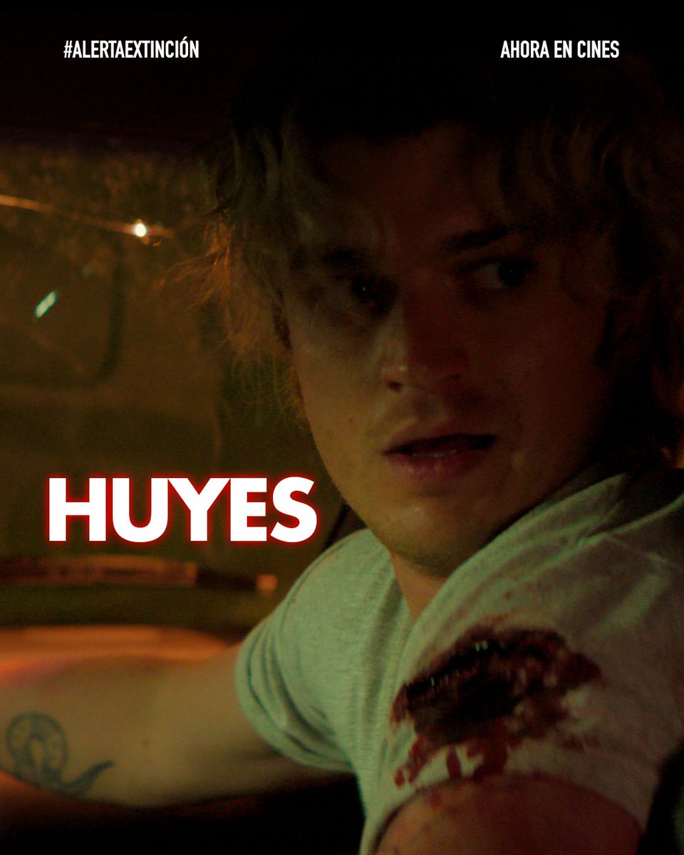 Imagem Films Mx tweet media