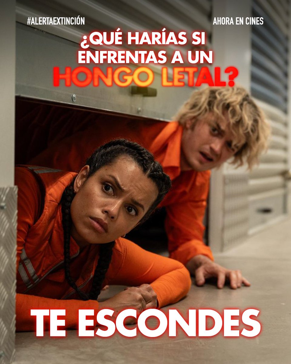 Imagem Films Mx tweet media