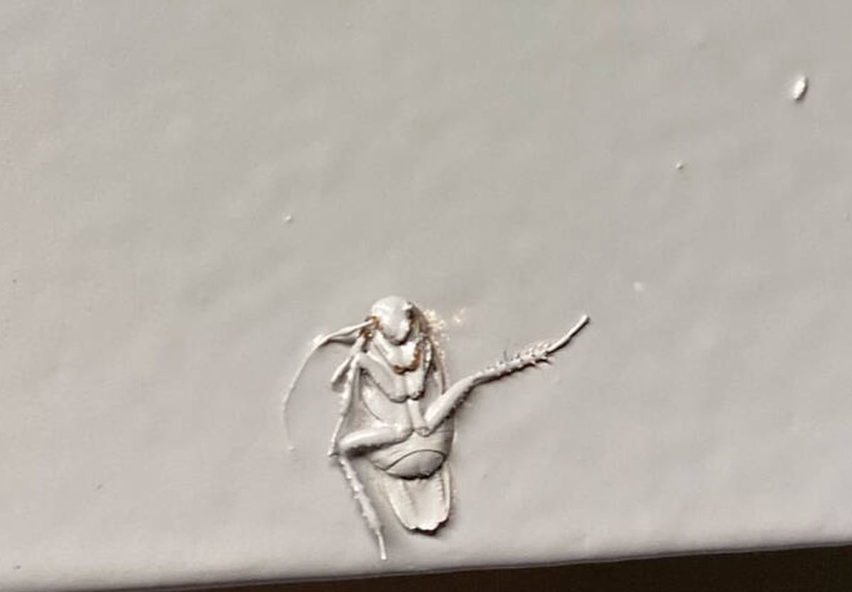 ▄︻╦芫≡══ ⎊ tweet media