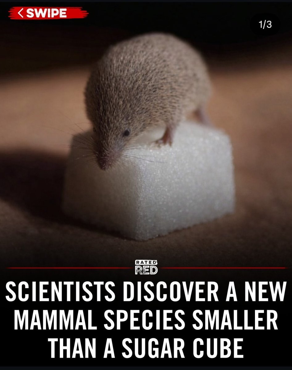 VeinRichard's tweet image. putting him in my cup of tea