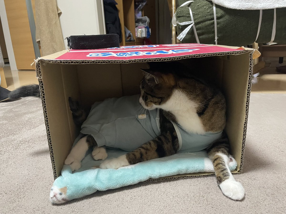 おはようございますラウドネスブラザーズ^_^