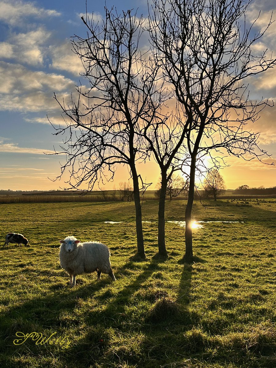 Sharon Welby📷 tweet media