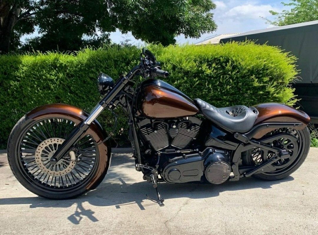 KANSAS BORN tweet media