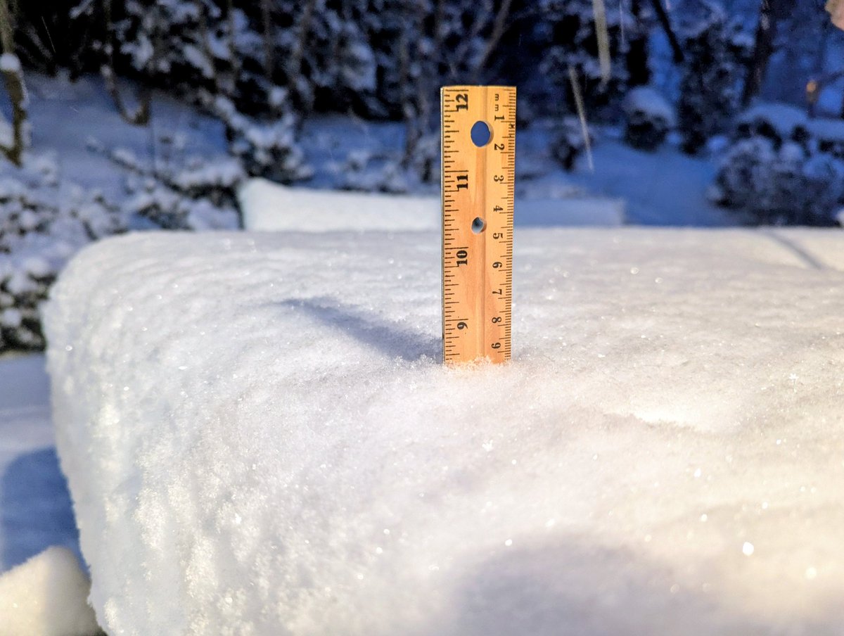 brantg81's tweet image. 6pm update. Jamestown, NC is now at 8.5" of snow and counting. 

@TimBuckleyWX 
@CMorganWX 
@wfmyweather
@DylanHudlerWXII 
@JonathanWeant 
@NWSRaleigh 
@wxbrad
@wxcrum
@webberweather
#ncwx 
#snOMG
#GIANNA