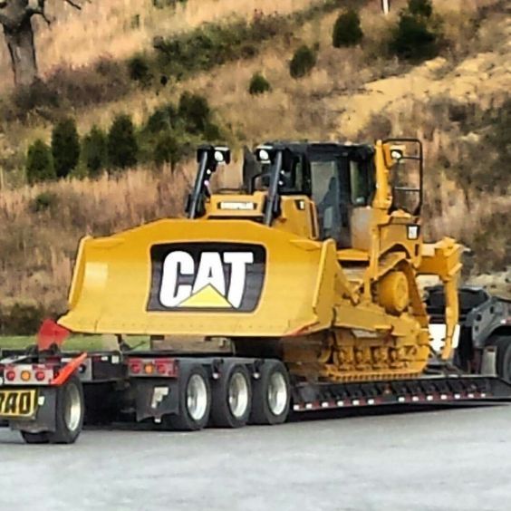 KANSAS BORN tweet media