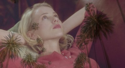 zackleburg tweet media