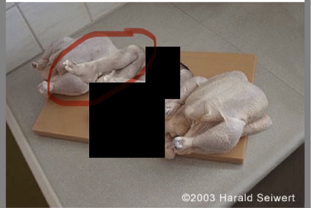 Tabitha_dev's tweet image. Is that a baby’s leg? Oh, my God. I guess that’s why it’s redacted. Epstein and those involved are weirdos, they are possessed with evil.