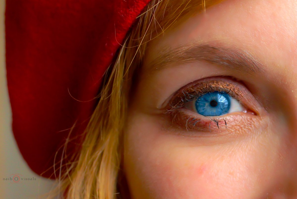 ✨MAY✨ tweet media