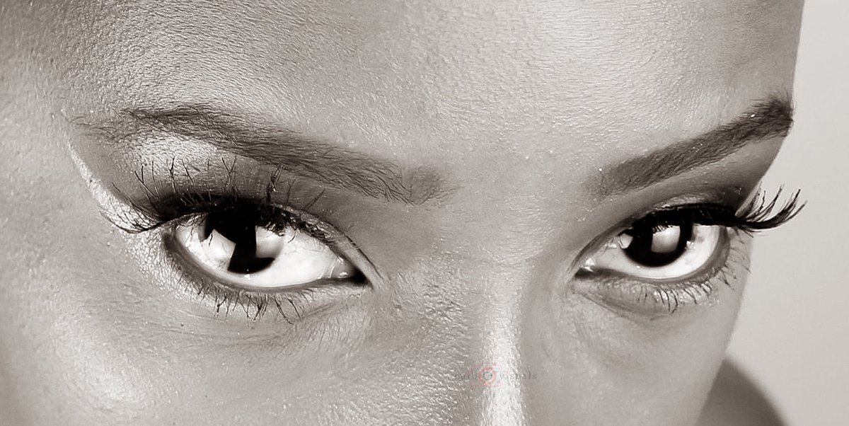 ✨MAY✨ tweet media