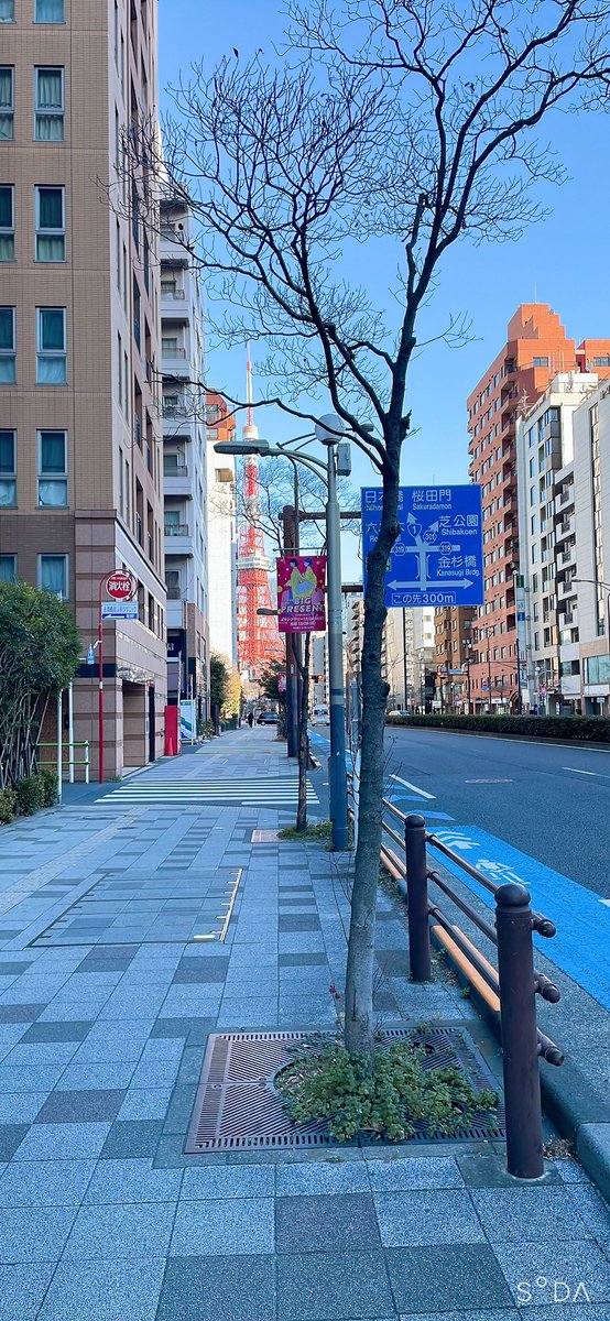 salt_apex's tweet photo. 講習受けにきたら東京タワー目の前🗼 https://t.co/ugVvrewhaj